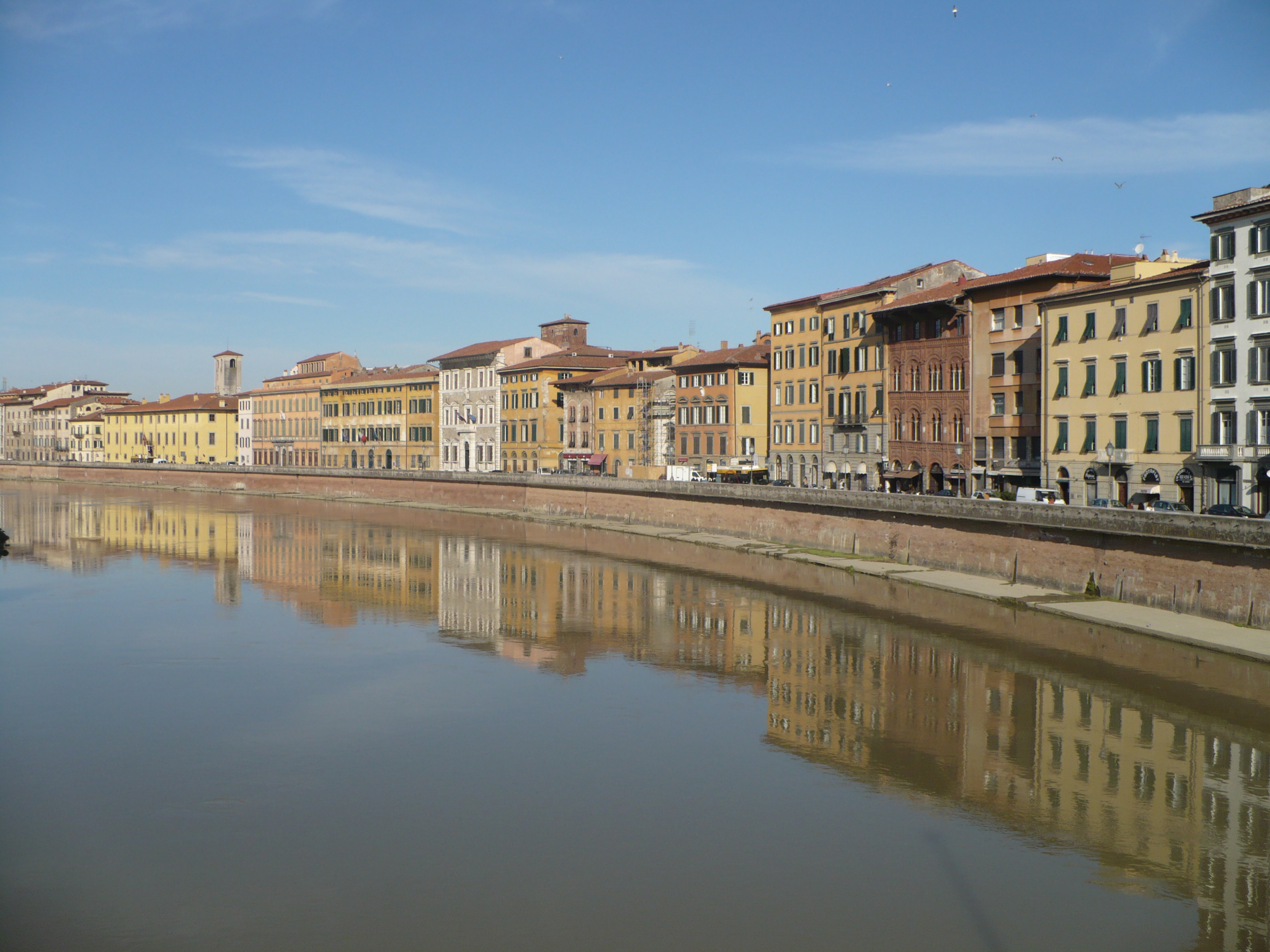 TUTTE LE MOSTRE A PISA E DINTORNI...